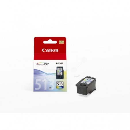 Cartuccia 2971b001 Cl-513 Ink Colore Cartr.