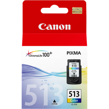 Cartuccia 2971b001 Cl-513 Ink Colore Cartr.