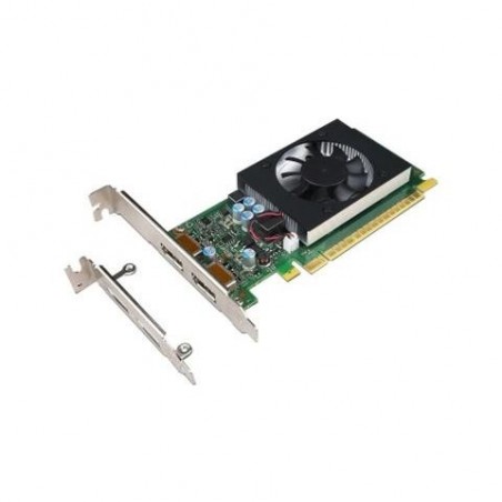 Scheda Video Lenovo Geforce GT730 2GB Dual DP